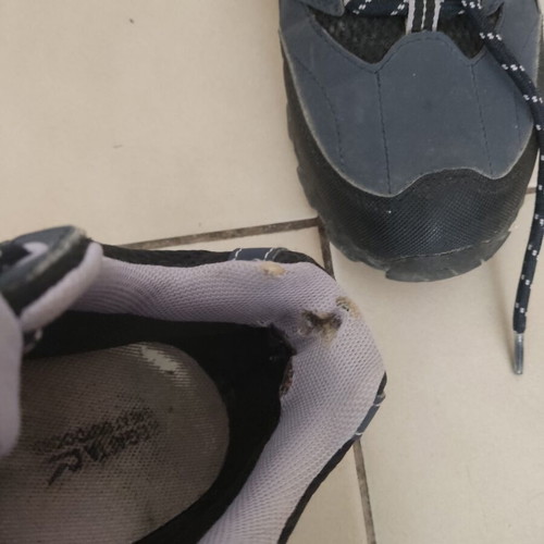 Regatta outdoors athletic shoes size 39 used, black and blue