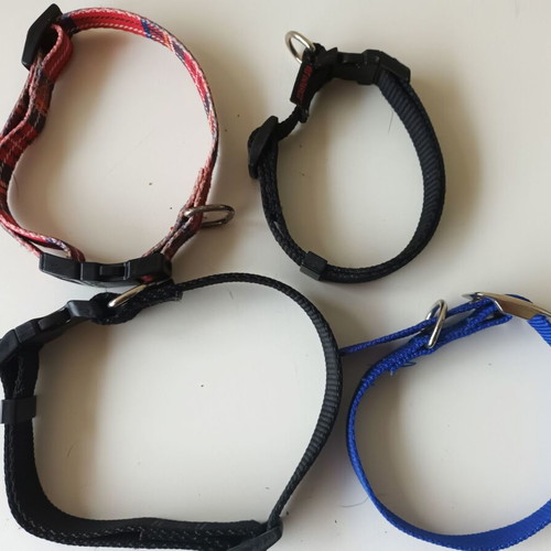 Set of 4 small dog collars