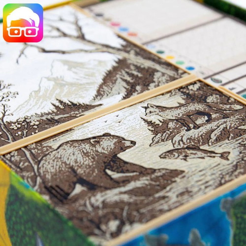 Cascadia Board Game Organizer New with Landmarks and Promo Cards