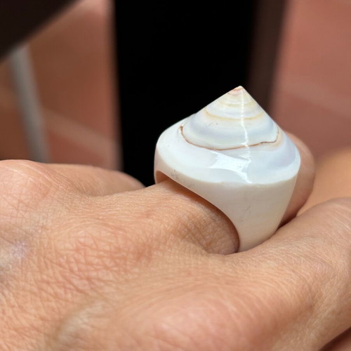Shell women's ring like new