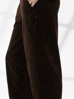 Pants with glitter new, brown, one size
