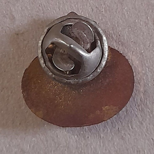 Pin of the Royal Spanish Swimming Federation used