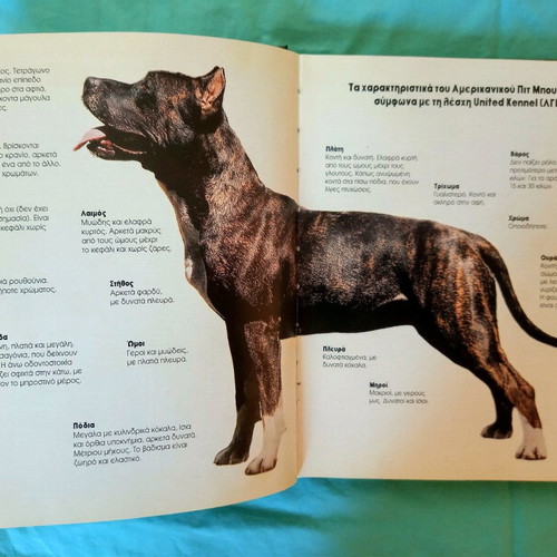 The Perfect Book for the American Pit Bull Terrier used