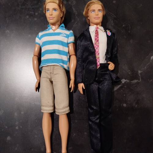 Barbie Ken dolls used, dreamhouses and princess school set