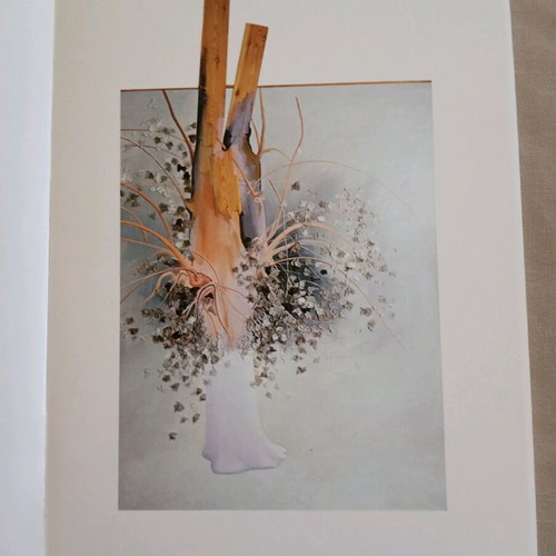 Kostas Tsoklis album numbered, like new, Alexandrou Iola edition