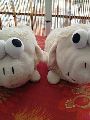 Unisex Winter Slippers Shaun the Sheep used, sizes 36-38, white