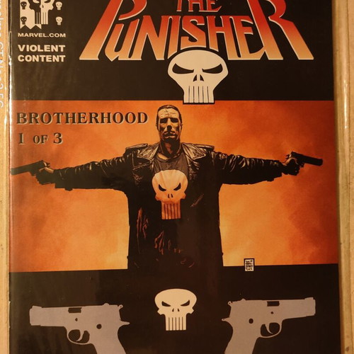 The Punisher #20-22 Marvel Knights comics mint condition