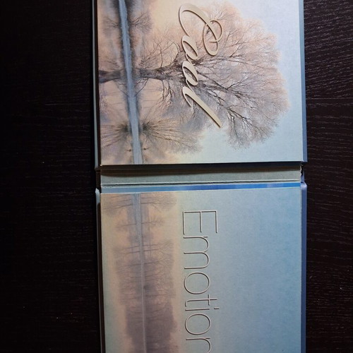 Cool Emotions quadruple CD like new, foreign songs and covers