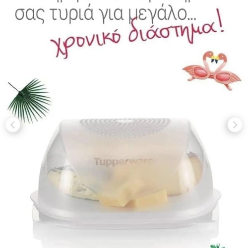 Small Tupperware Cheese Container new