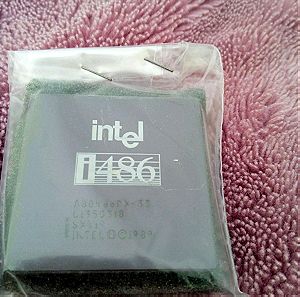 Intel 486 33