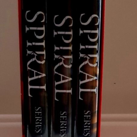 Spiral Engrenages DVD used, crime series with English subtitles