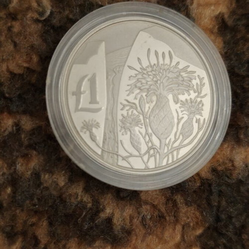 1 Lira Akamantis Coin 2006 Cyprus like new, flora theme