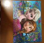 Frozen puzzle used, 100 pieces