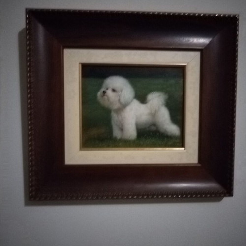 Dog paintings like new, set of 3 with Italian frame