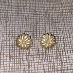 Earrings without Piercing