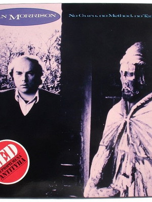 Van Morrison No Guru No Method No Teacher vinyl record used, folk