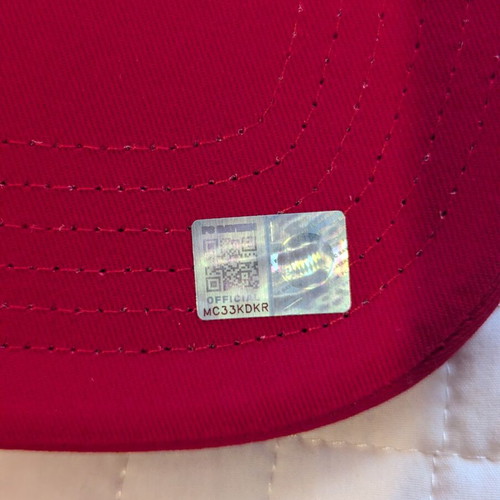 Linkin Park & Bayern Munich Limited Edition Collectible Cap New