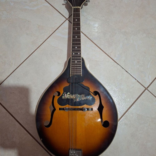 Sangwha 8-string mandolin with pickup, Korean