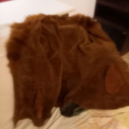 Suede coat with fur lining new, gold color, size L