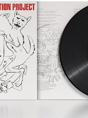 PJ Harvey The Hope Six Demolition Project 2022 vinyl LP