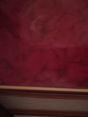 Accordion used