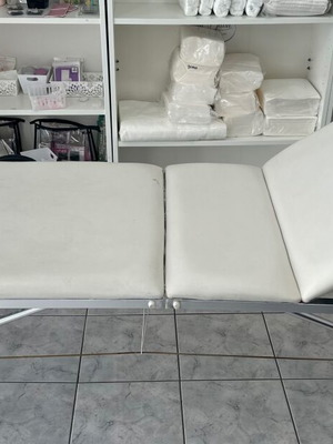 Metal Aesthetic Bed used with reclining and suitcase design