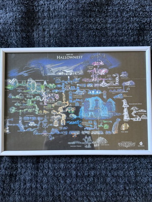 Hollow Knight framed map poster for PS4 and Switch, new