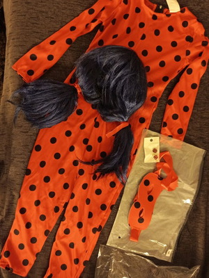 Ladybug Carnival Costume Set for 6 Years Like New