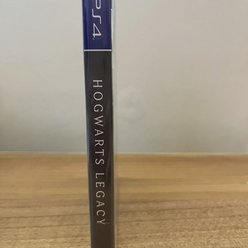 Hogwarts Legacy PS4 game