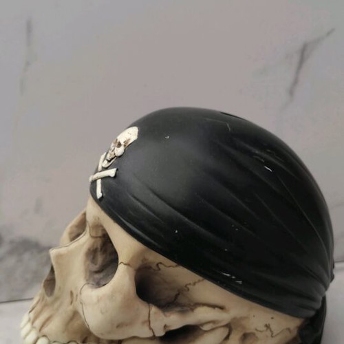 Pirate Skull Coin Bank used