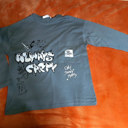 Zara boys' long-sleeve T-shirt size 10 grey like new