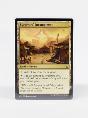 Survivors' Encampment Magic The Gathering card near mint, HOU set