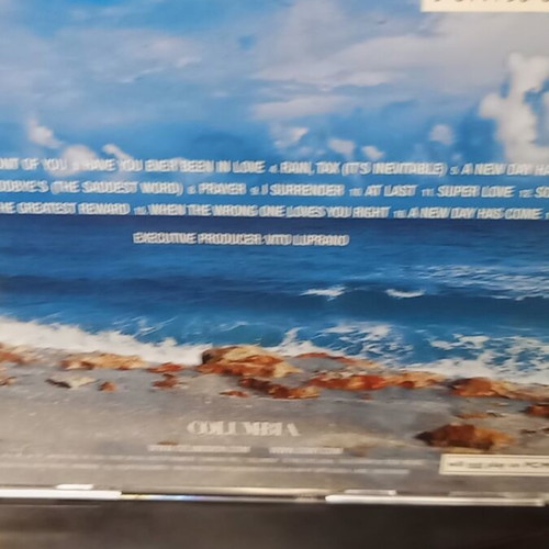 Celine Dion A New Day Has Come CD used, blues