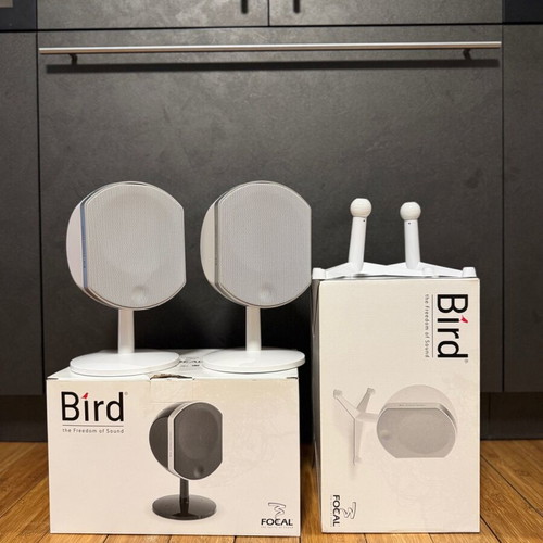 Focal Bird Compact speakers used, white