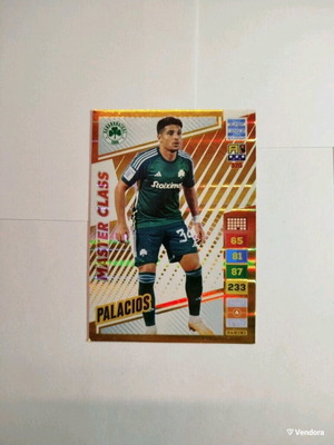 Panathinaikos Palacios collectible card like new