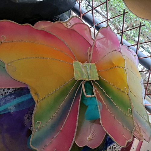 3€ each. There are five wing and skirt costumes.