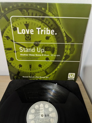 Love Tribe Stand Up 12" vinyl record, electronic