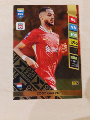 FIFA 365 PANINI 2025 football card Cody Gakpo new