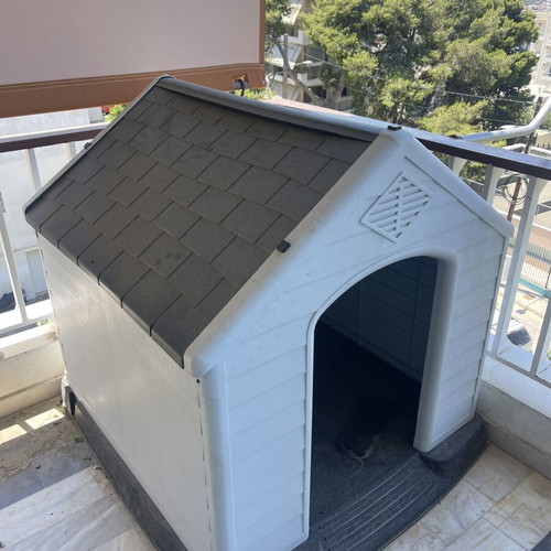 Dog house for large dogs like new