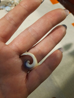 Ring real shell new, unique