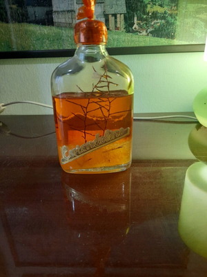 Coriandolino Rodos 1980 liqueur sealed with branch tree and sugar new
