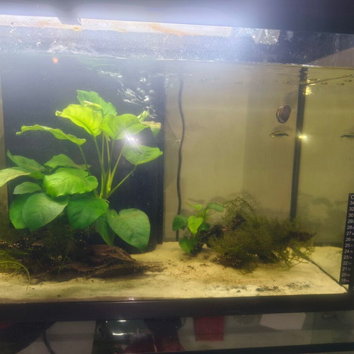 Aquarium 110 liters used with water pumps, heater, and filter