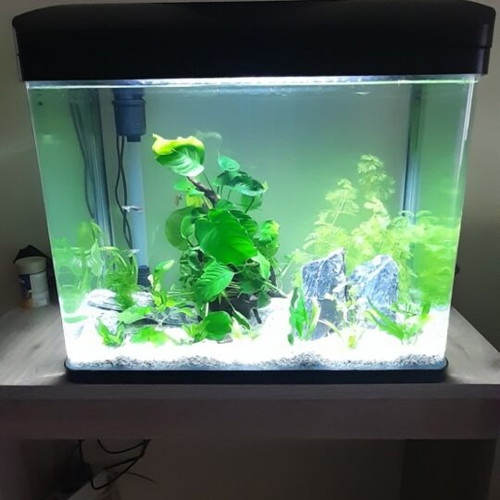 Amtra Laguna Aquarium used with accessories and 100W heater