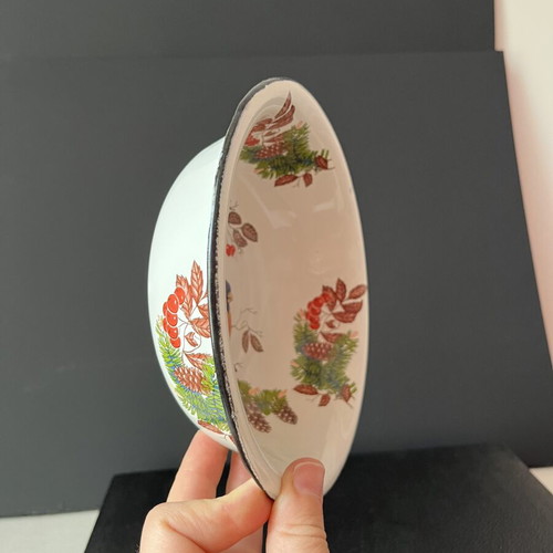 Vintage enamel bowl USSR with bullfinch design, 18cm, like new