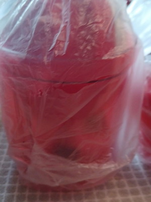 Tupperware Hand Mixer new