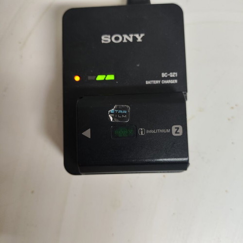 Sony BC-QZ1 charger with NP-FZ100 battery like new