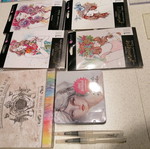 Stamp, stensil and paint set used