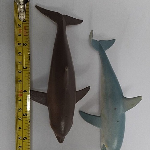 Dolphins like new