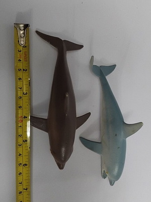 Dolphins like new