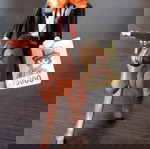  Playmobil